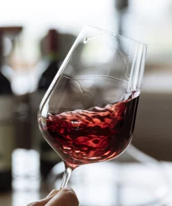 Richard Brendon JANCIS ROBINSON UNIVERSAL WINE GLASS | SET OF 2 DRINKWARE