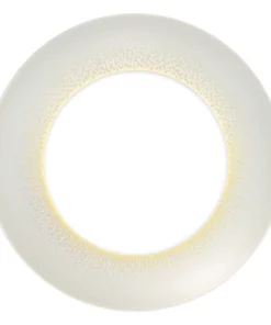 Haviland /Daum USA Inc. SOUFFLE D'OR | HAVILAND