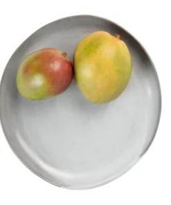 Blue Pheasant MARCUS CEMENT GLAZE STONEWARE DINNERWARE