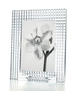 Baccarat THE HOME EYE PHOTO FRAME