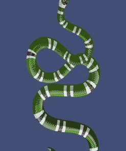 Nicolette Mayer Collection SERPENT VANITY TRAY