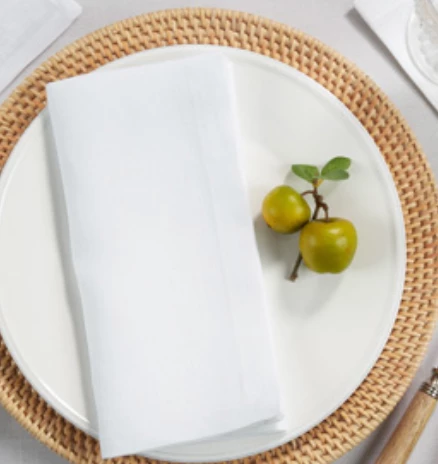 Saro Trading Company PLAIN LINEN NAPKIN WHITE THE TABLE