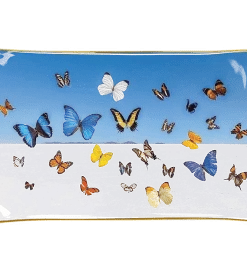 Chronicle Books GRAY MALIN BUTTERFLY CATCHALL