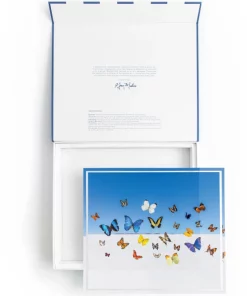 SERVING GRAY MALIN BUTTERFLIES TRAY