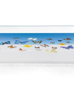 SERVING GRAY MALIN BUTTERFLIES TRAY