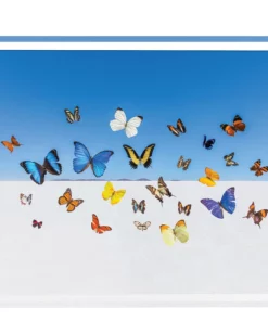 SERVING GRAY MALIN BUTTERFLIES TRAY