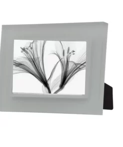 Prisma PRISM FRAME SMOKE THE HOME