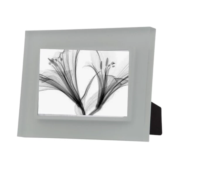 Prisma PRISM FRAME SMOKE THE HOME