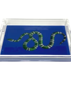 Nicolette Mayer Collection SERPENT VANITY TRAY