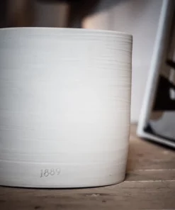 1889 WaxLighting CLARISSE CANDLE BARON CANDLELIGHT