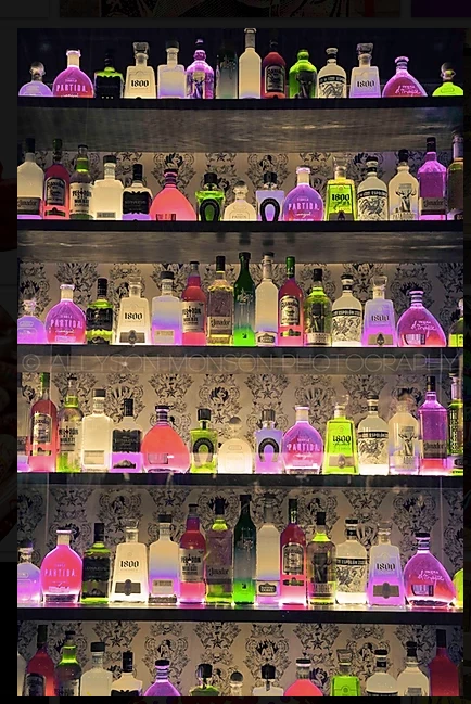 Allyson Monson TEQULIA GLOW WORMS ART | PLEXI MOUNT |40 X 60 WALL DECOR