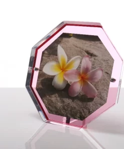 Alexandra Von Furstenberg VOLTAGE OCTAGONAL SNAP FRAME ROSE THE HOME