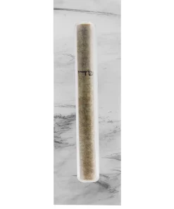 Apeloig Collection JUDAICA ACRYLIC MEZUZAH CASE | SILVER | SMALL