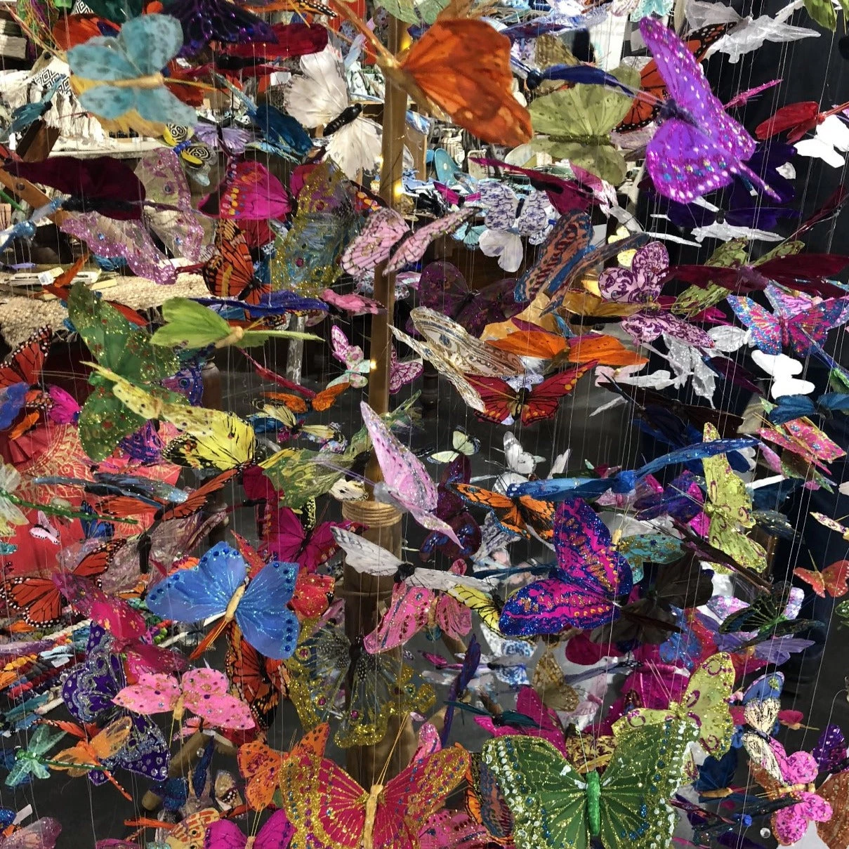 Robin Maizes WALL DECOR BUTTERFLY NIGHTS PLEXI PHOTOGRAPHY ART