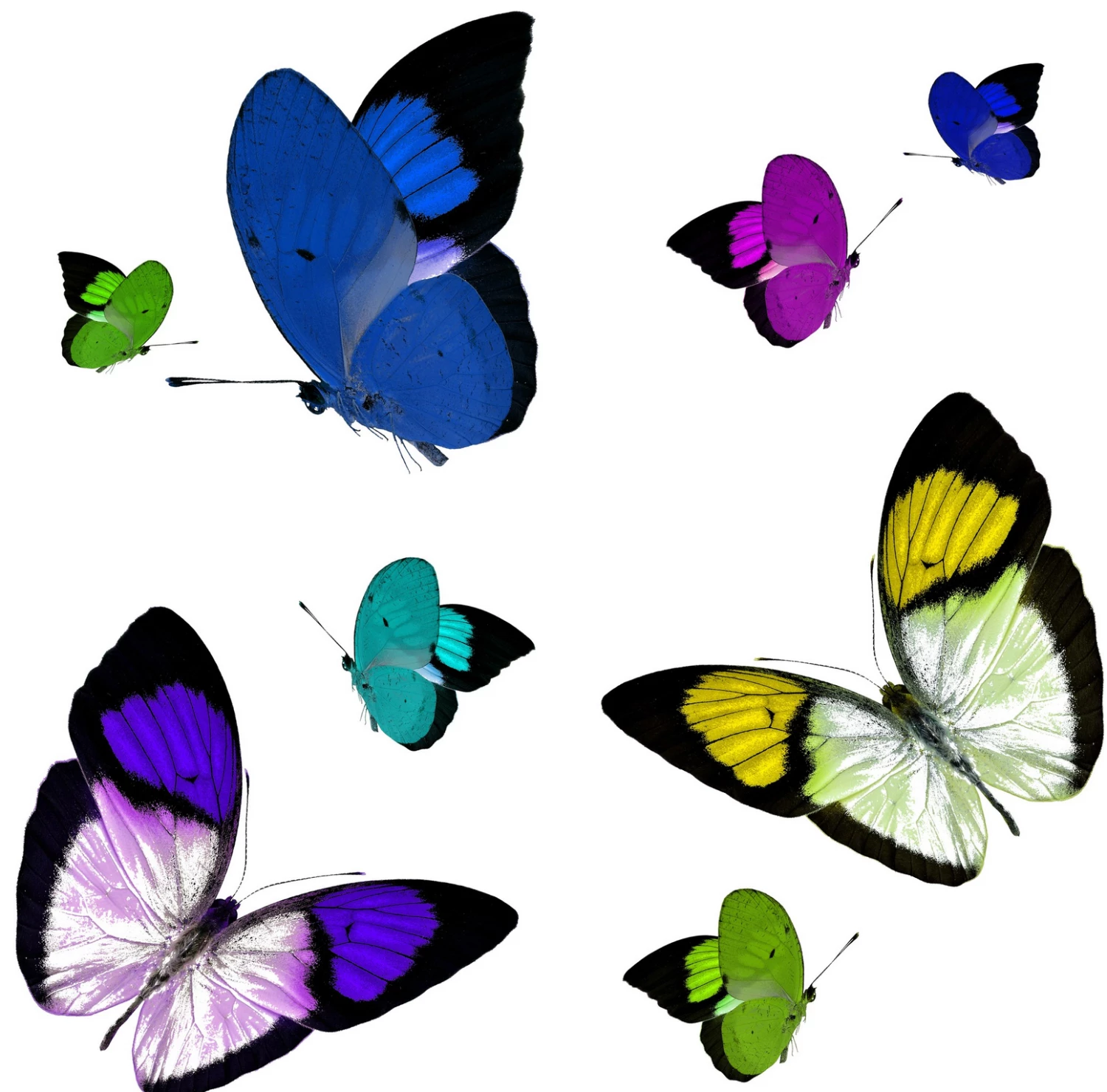 Nicolette Mayer Collection BUTTERFLIES VANITY TRAY THE HOME